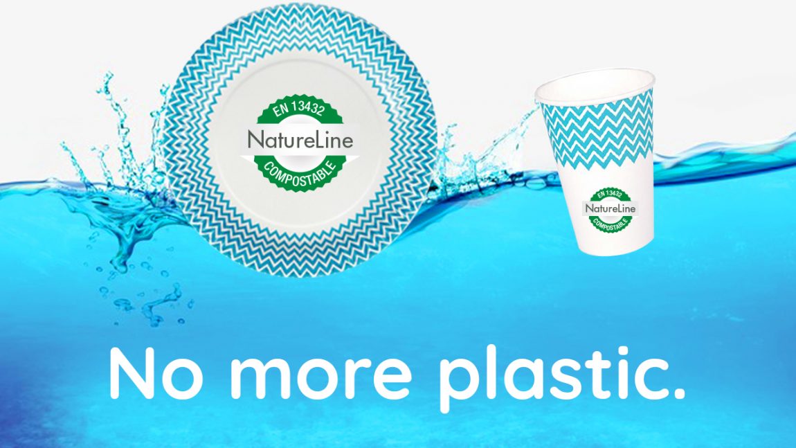 Read more about the article Compostable paper plates and cups instead of plastic