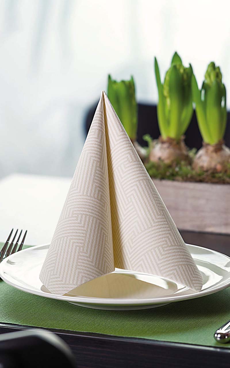 PPC-austria-paper-napkins-private-label-3