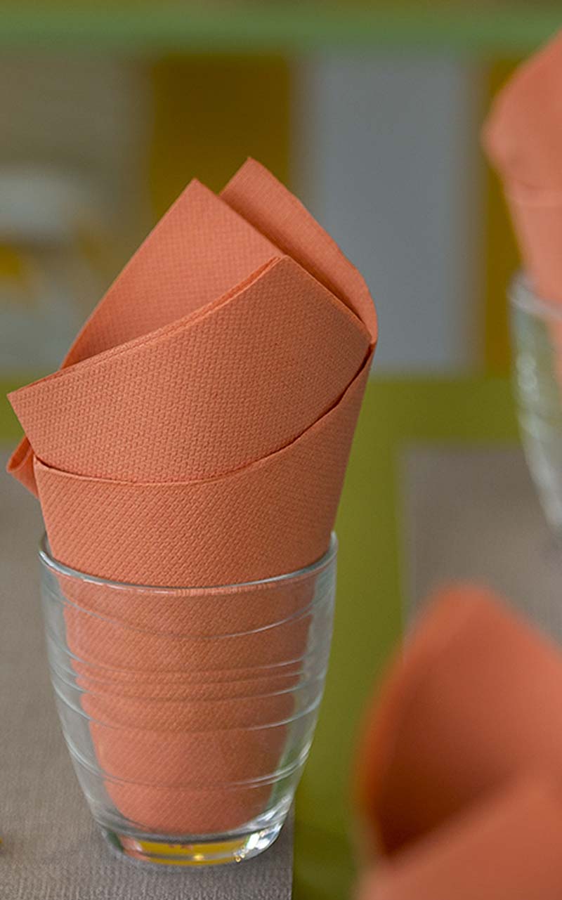 PPC-austria-paper-napkins-private-label-7