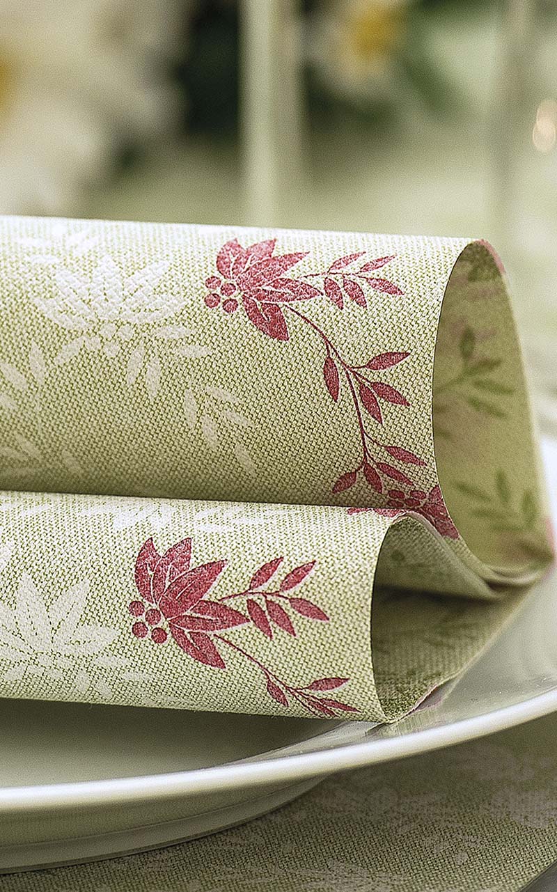 PPC-austria-paper-napkins-private-label