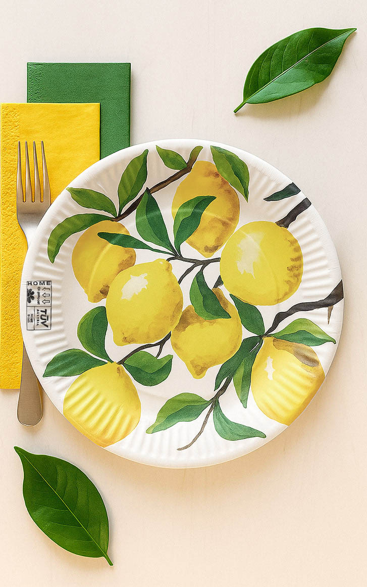 PPC-paper-plates-product-1