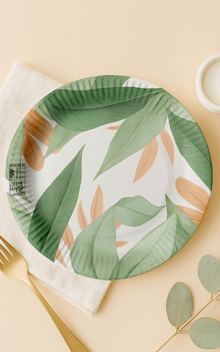 PPC-paper-plates-product-2