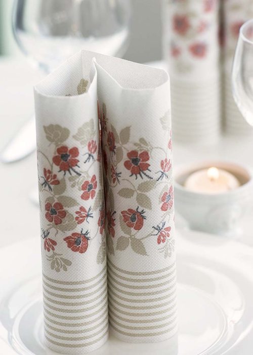 PPC-austria-paper-napkins-private-label-2