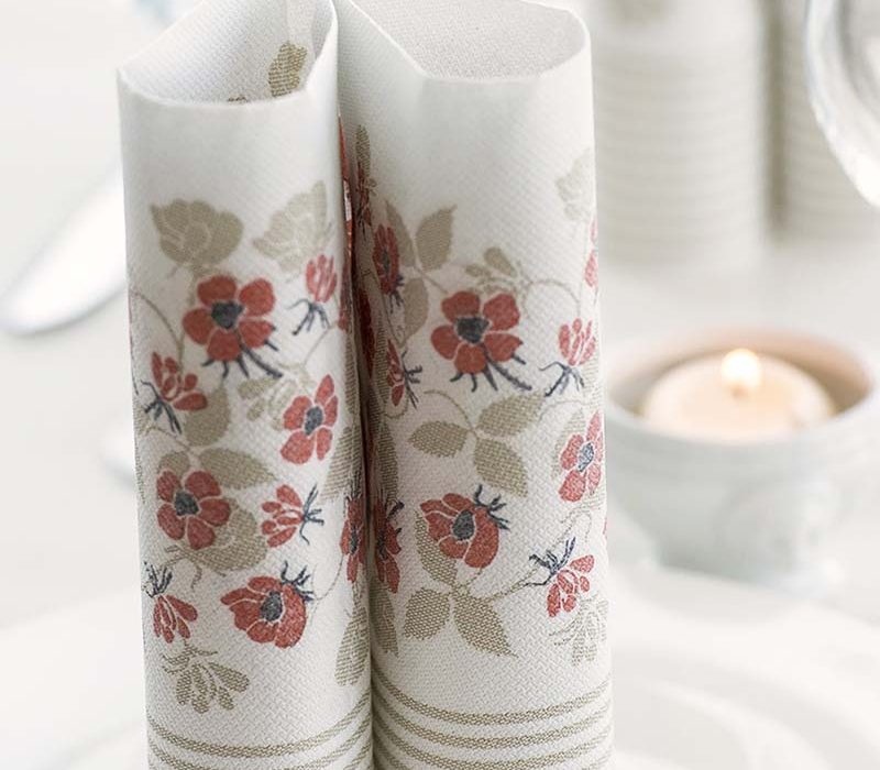 PPC-austria-paper-napkins-private-label-2