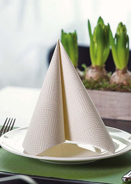 PPC-austria-paper-napkins-private-label-3