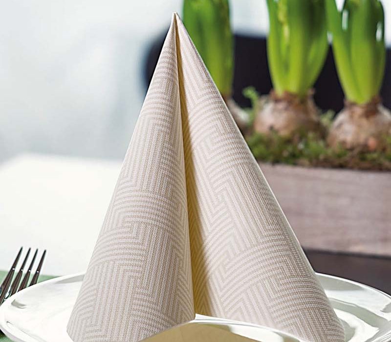 PPC-austria-paper-napkins-private-label-3