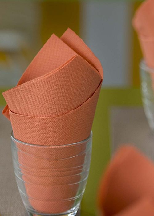 PPC-austria-paper-napkins-private-label-7