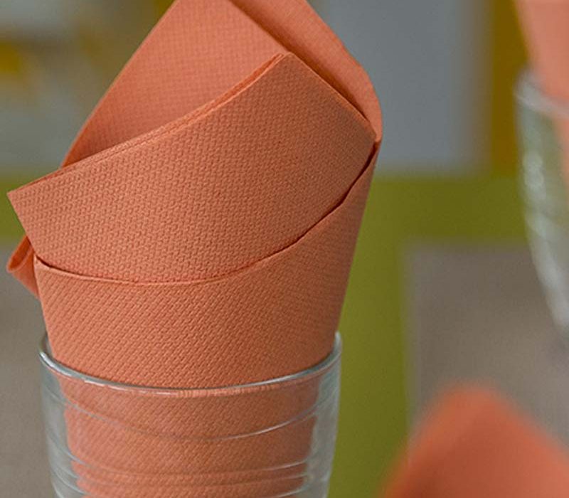 PPC-austria-paper-napkins-private-label-7