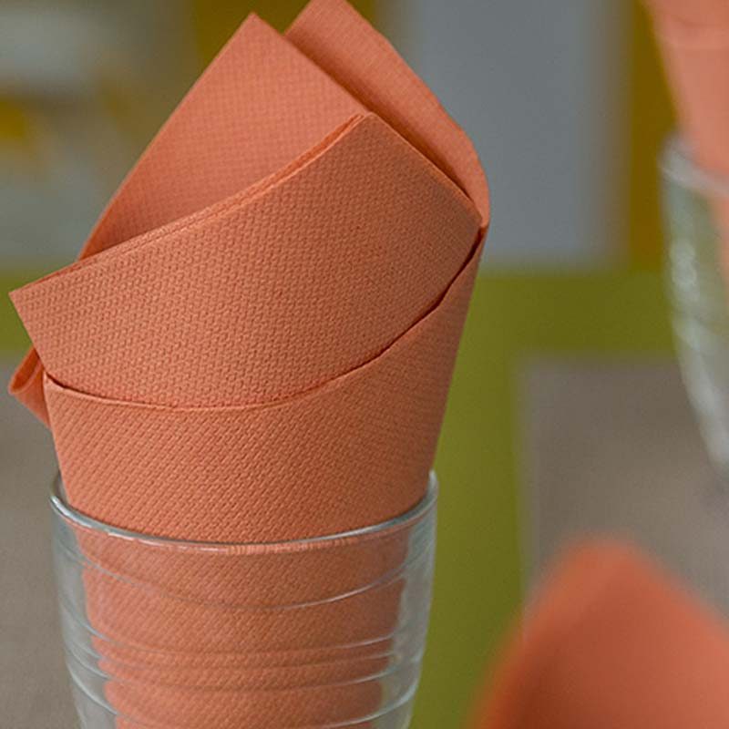 PPC-austria-paper-napkins-private-label-7