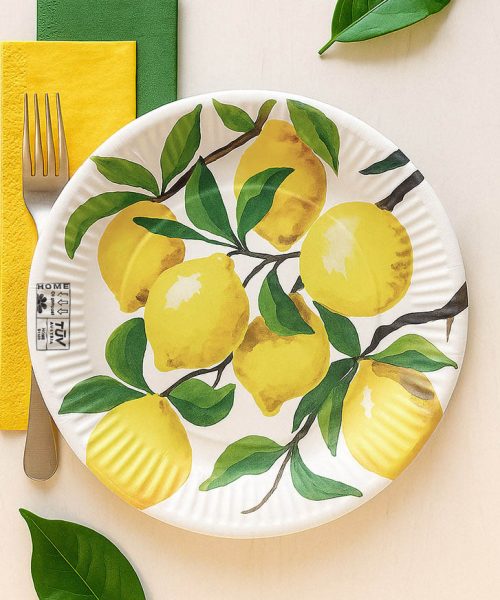 PPC-paper-plates-product-1