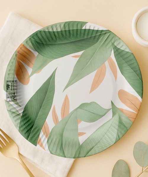 PPC-paper-plates-product-2