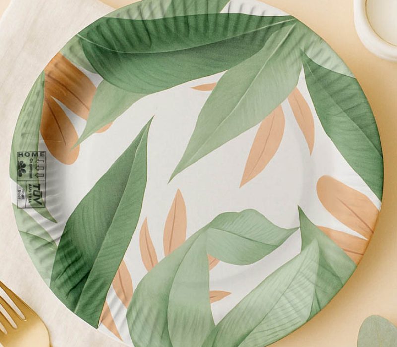 PPC-paper-plates-product-2