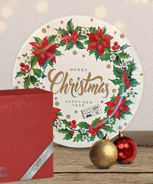 PPC-paper-plates-product-4